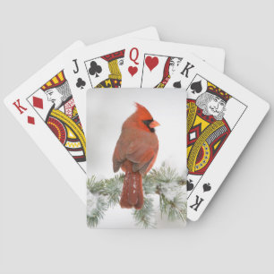 Nördlicher Kardinal-Männchen auf Blauer Atlas-Zede Spielkarten