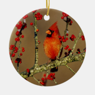 Nördlicher Kardinal Männchen sitzend, IL Keramik Ornament