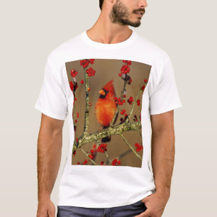 Nördlicher Kardinal Männchen sitzend, IL T-Shirt