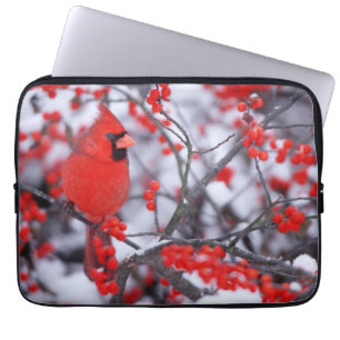 Nördlicher Kardinal Männchen, Winter, IL Laptopschutzhülle