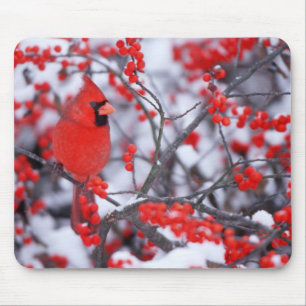 Nördlicher Kardinal Männchen, Winter, IL Mousepad