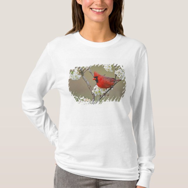Nördlicher Kardinal T-Shirt (Vorderseite)