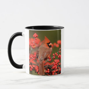 Nördlicher Kardinal über Winterberge Tasse