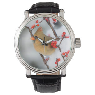 Nördlicher Kardinal weiblich auf Gewöhnlicher Wint Armbanduhr