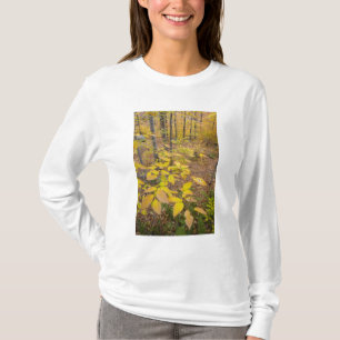 Nördlicher Laubwald in New Hampshire USA T-Shirt