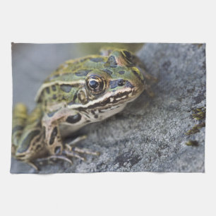 Nördlicher Leopardfrosch, See-through Island, Geschirrtuch