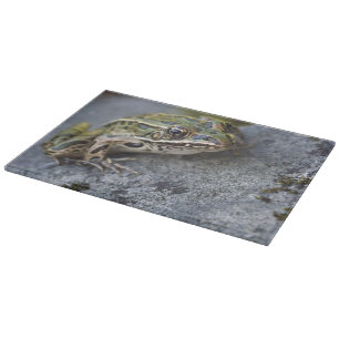 Nördlicher Leopardfrosch, See-through Island, Schneidebrett