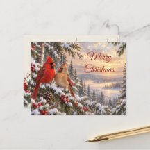 Nördliches Kardinalpaar Weihnachten Verschneites W