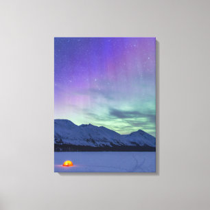 Nördliches-Lichter-Elch-Pass Kenai-Halbinsel Leinwanddruck