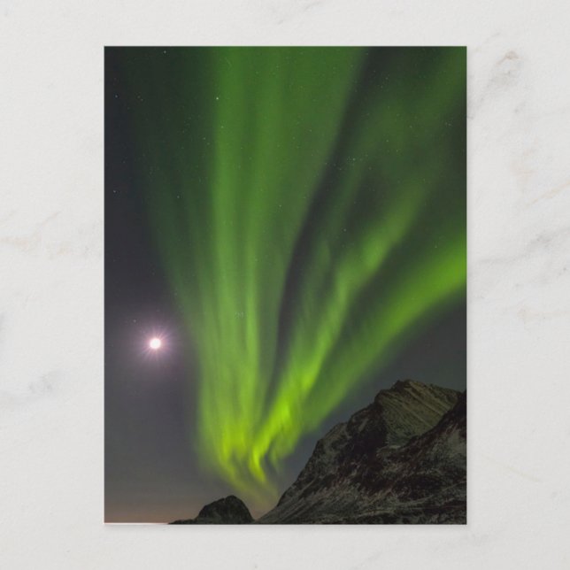 Nordlicht | Haukland Beach Island Norwegen Postkarte (Vorderseite)