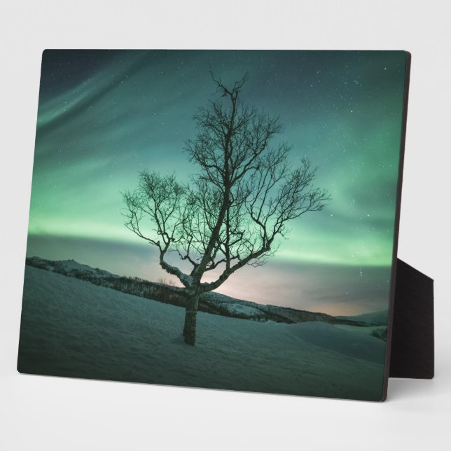 Nordlichtbaum Fotoplatte (Seite)