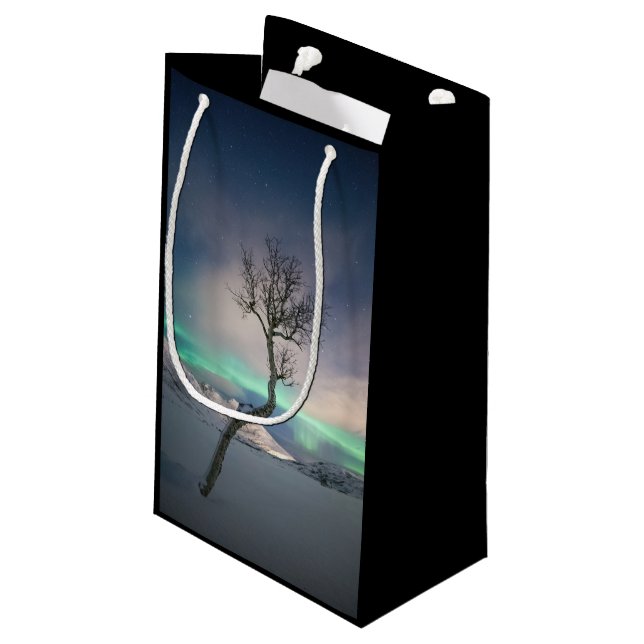 Nordlichtbaum Kleine Geschenktüte (Rückseite Schrägansicht)