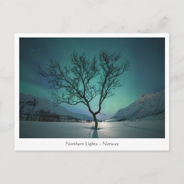 Nordlichtbaum Postkarte (Vorderseite)