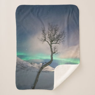 Nordlichtbaum Sherpadecke