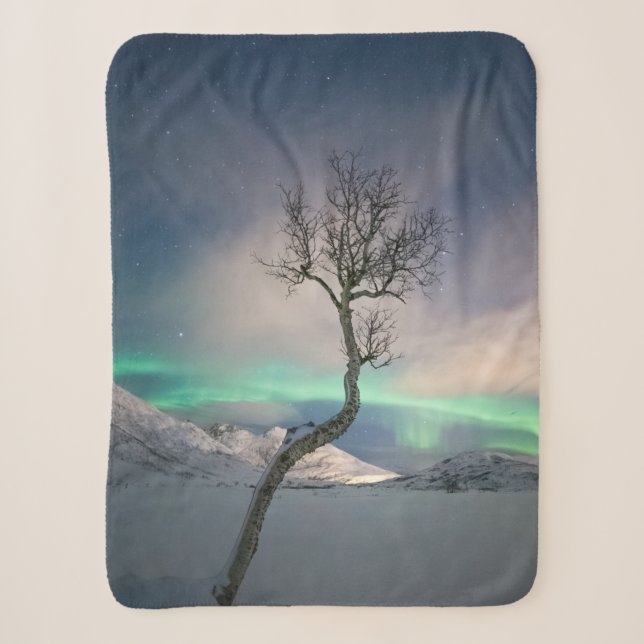 Nordlichtbaum Sherpadecke (Vorderseite)