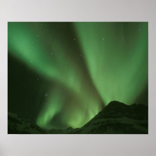 Nordlichter, Aurora borealis an den Ausläufern der Poster