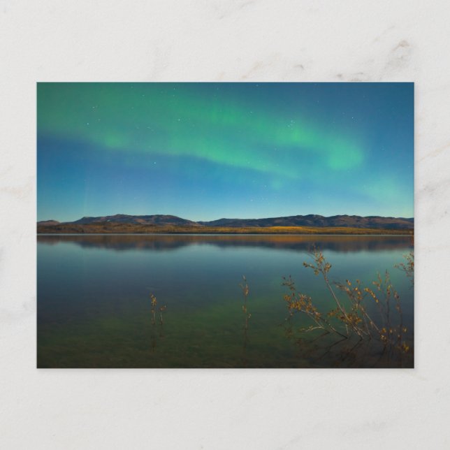Nordlichter (Aurora borealis) Postkarte (Vorderseite)