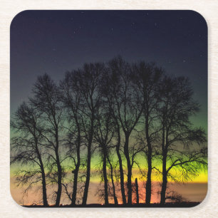 Nordlichter Manitoba Kanada Grande Pointe Rechteckiger Pappuntersetzer