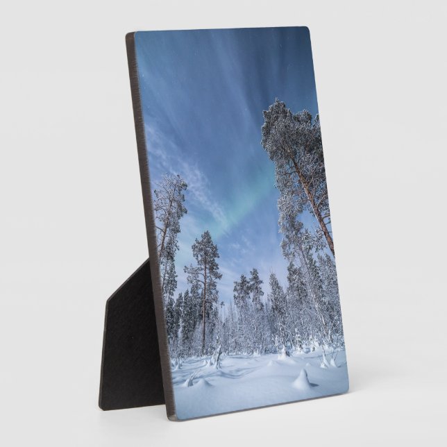 Nordlichter Norwegen Fotoplatte (Seite)