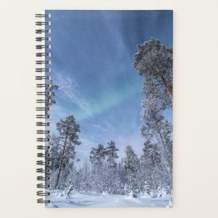 Nordlichter Norwegen Planer