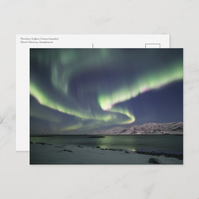 Nordlichter Norwegen Postkarte (Vorne/Hinten)
