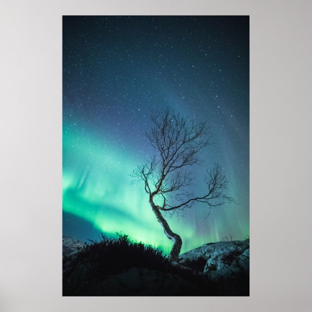 Nordlichter Poster (Vorne)
