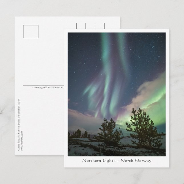Nordlichter Postkarte (Vorne/Hinten)