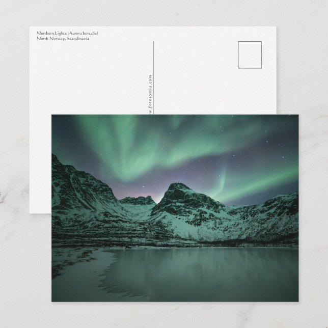 Nordlichter Postkarte (Vorne/Hinten)