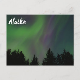 Nordlichter über Alaska Postkarte