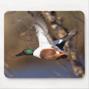 Nordlöffelenten-Ente Mousepad