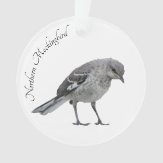 Nordmockingvogel Ornament