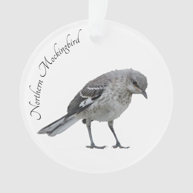 Nordmockingvogel Ornament (Vorderseite)