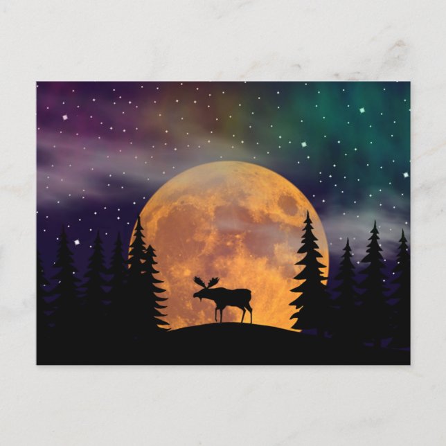 Nordnachtnordlichter Postkarte (Vorderseite)