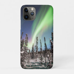 NordNationalpark der licht-  Denali Case-Mate iPhone Hülle