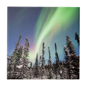 NordNationalpark der licht-  Denali Fliese