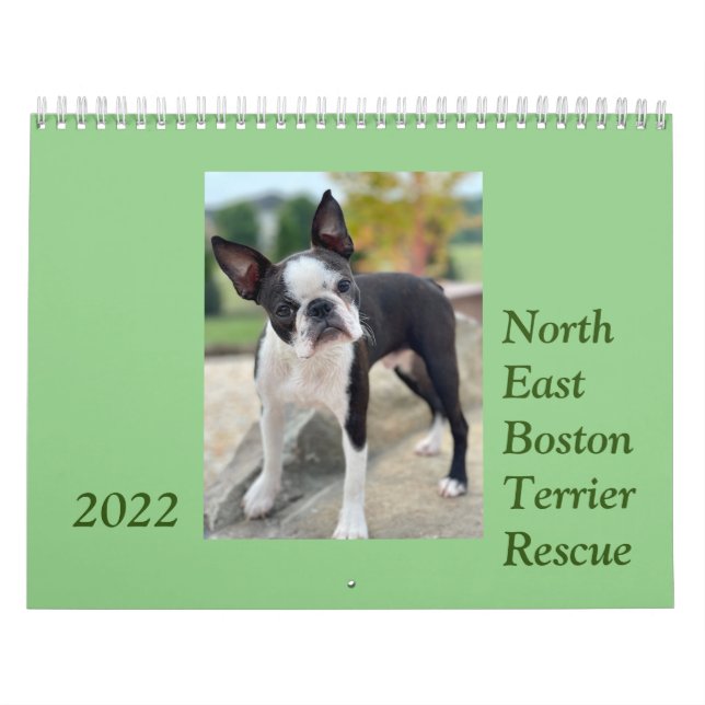 Nordost-Boston Terrier Rescue 2022 Kalender (Titelbild)