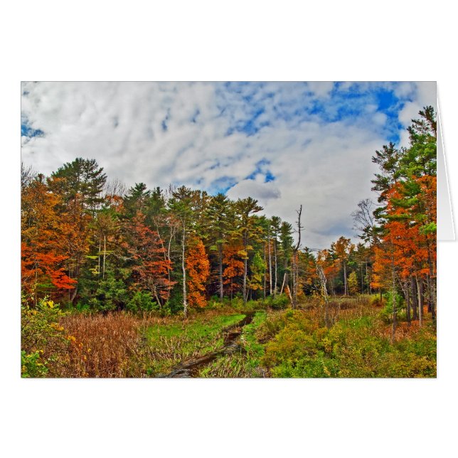 Nordost-Herbst (Vorderseite (Horizontal))