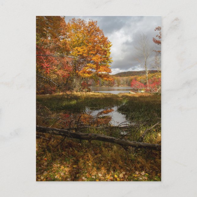 Nordost-Herbst Postkarte (Vorderseite)