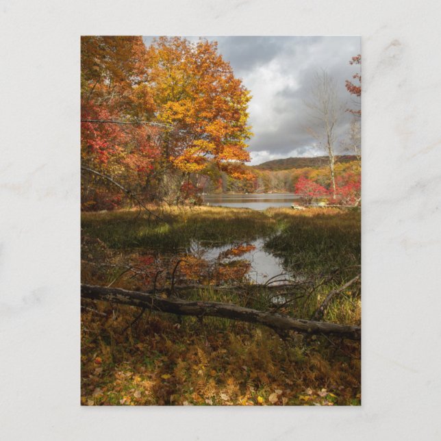 Nordost-Herbst Postkarte (Vorderseite)