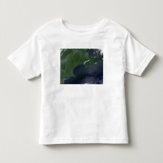 Nordost-Staaten und Kanada Kleinkind T-shirt (Vorderseite)