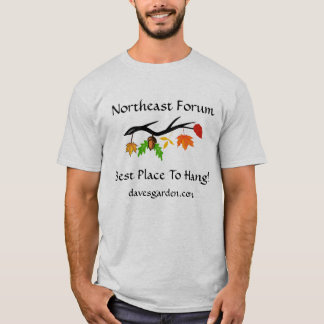 Nordostforum #5: Bester Platz - helleres Blätter T-Shirt