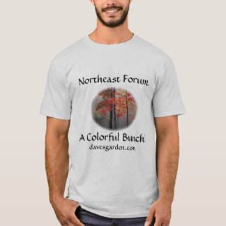Nordostforum #6: der pic des Elfs - buntes Bündel T-Shirt