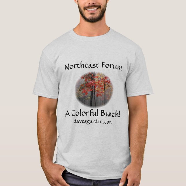 Nordostforum #6: der pic des Elfs - buntes Bündel T-Shirt (Vorderseite)