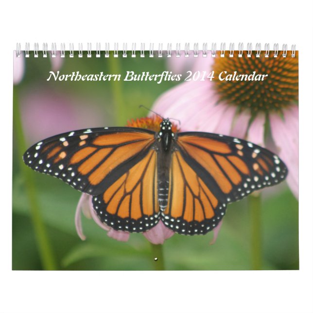 Nordöstliche Schmetterlinge 2019 - Kalender (Titelbild)