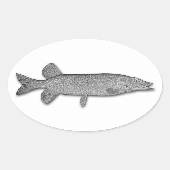 Nordpike Ovaler Aufkleber (Vorderseite)