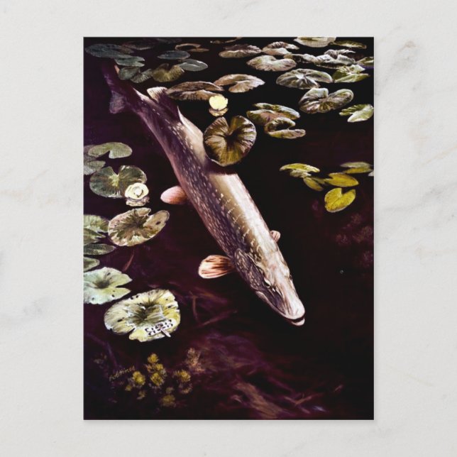 Nordpike Postkarte (Vorderseite)