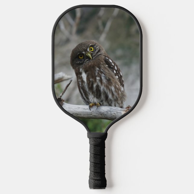 Nordpygmäuse Pickleball Schläger (Vorderseite)