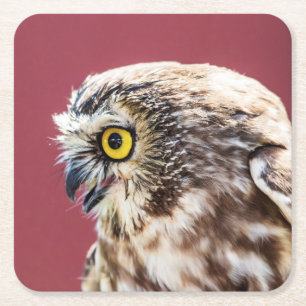 Nordsäge-Weiß-Portrait Rechteckiger Pappuntersetzer