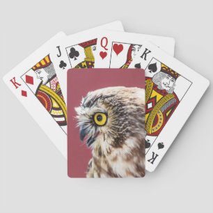 Nordsäge-Weiß-Portrait Spielkarten