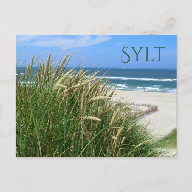 Nordsee, Strand, Dünengras, Sylt, Nordfriesland Postkarte (Vorderseite)